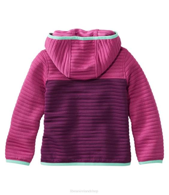 LLBean Airlight Full-Zip Hoodie Kids J46J5919 Clothing Platinum