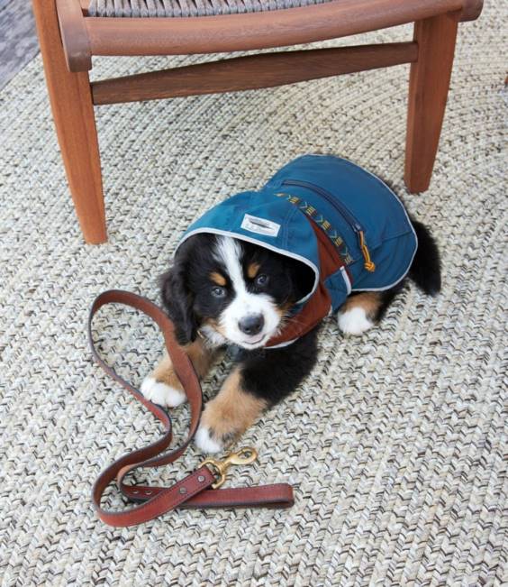 LLBean All-Weather Braided Rug Concentric Pattern Oval Unisex J46J6803 Home Goods Sand Multi