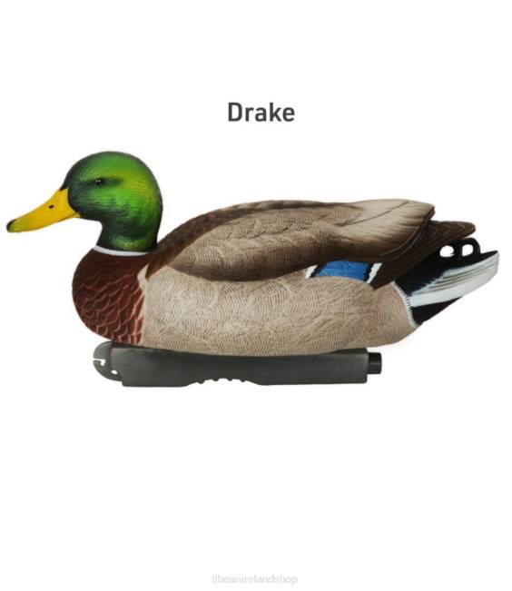 LLBean Avery Pro-Grade Decoys 6-Pack Unisex J46J2269 Outdoor Equipment Mallard