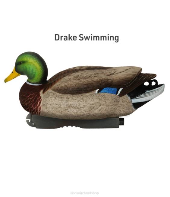 LLBean Avery Pro-Grade Decoys 6-Pack Unisex J46J2269 Outdoor Equipment Mallard