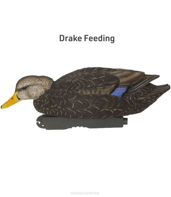 LLBean Avery Pro-Grade Decoys 6-Pack Unisex J46J2307 Outdoor Equipment Black Duck