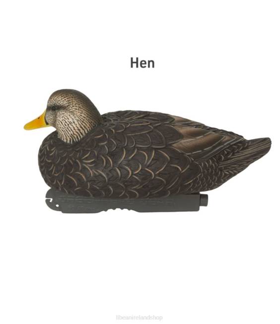 LLBean Avery Pro-Grade Decoys 6-Pack Unisex J46J2307 Outdoor Equipment Black Duck