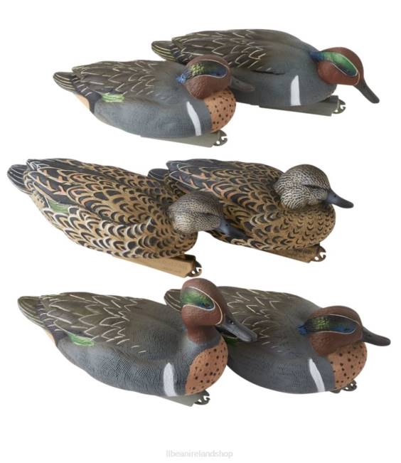 Greenwing Teal