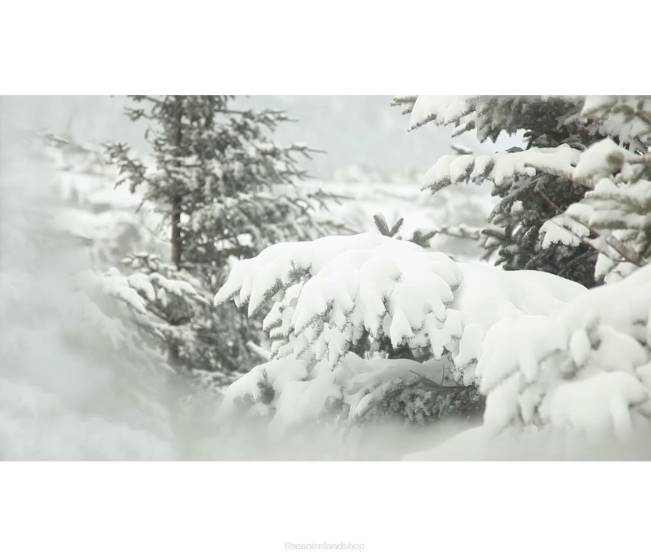 LLBean Baxter State Parka Men J46J3638 Outerwear Black