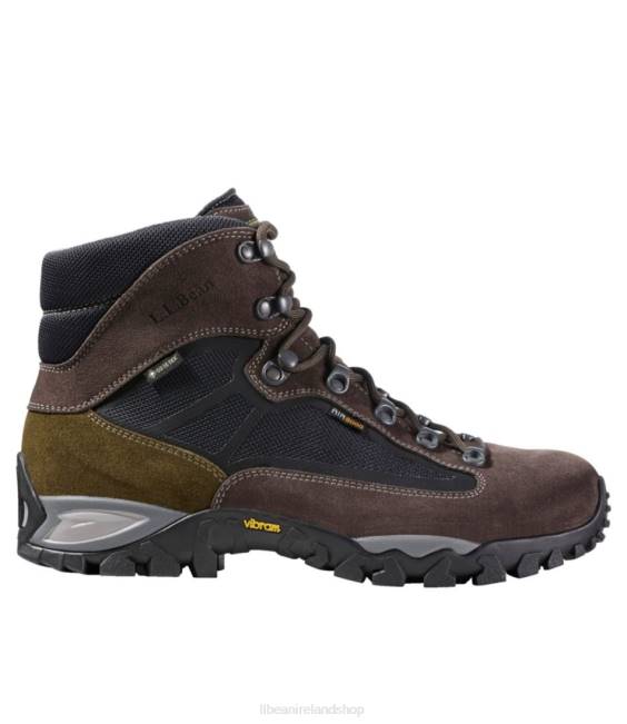 LLBean Bigelow GORE-TEX Hiking Boots Men J46J1121 Footwear Brown
