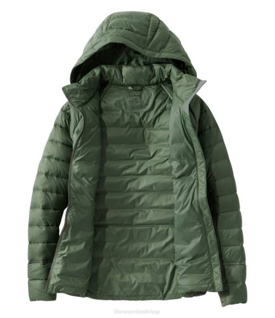 LLBean Boundless Down Hybrid Jacket Women J46J3646 Outerwear Thyme