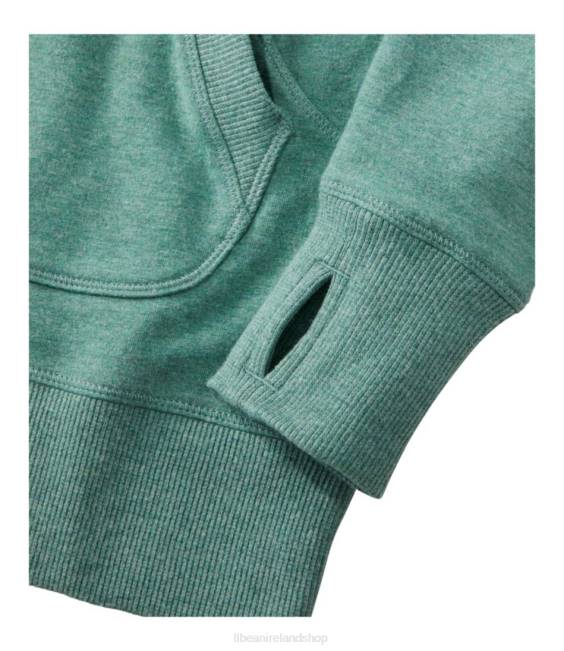 LLBean Cozy Pullover Women J46J2988 Clothing Dark Plum Rose Heather