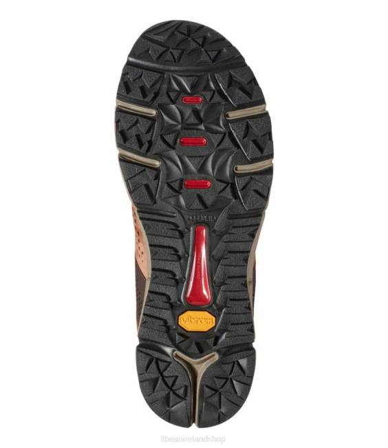 LLBean Danner Trail 2650 Hiking Shoes Men J46J1126 Footwear Brown/Red