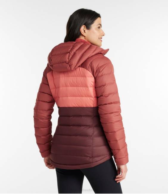 LLBean Down Hooded Jacket Women J46J5093 Outerwear Nautical Navy/Sugarplum