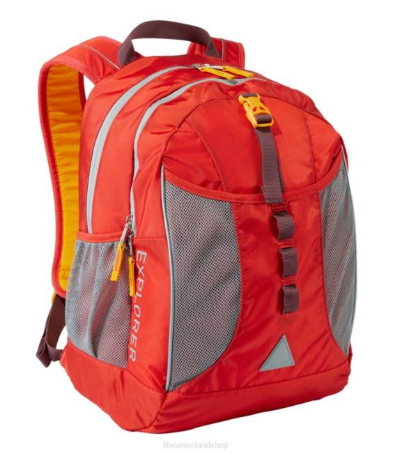 Vibrant Red/Burgundy