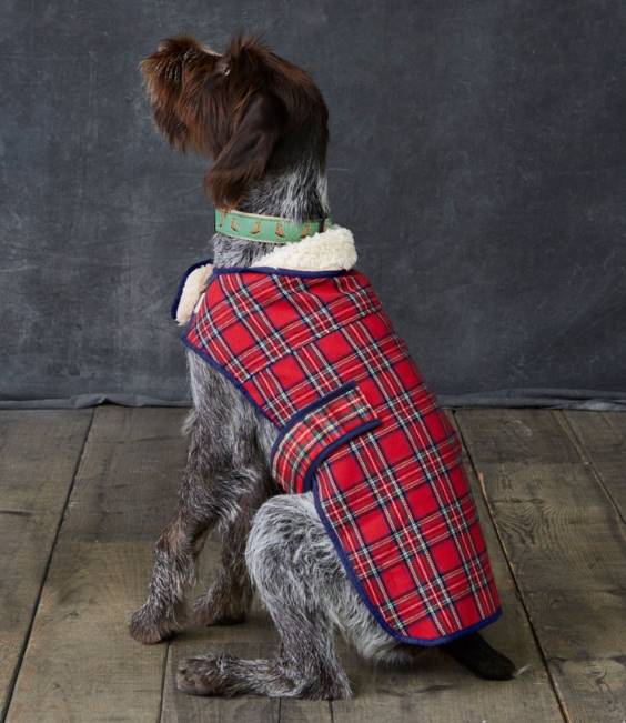 LLBean Flannel Sherpa Dog Vest Unisex J46J2074 Home Goods Natural/Royal Stewart