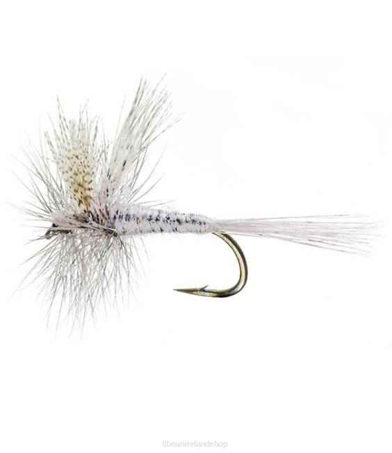 LLBean Hendrickson 2 Pack Unisex J46J2040 Fishing Light