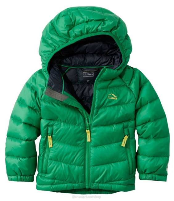 LLBean Infants and Toddlers Ultralight 650 Down Jacket Kids J46J6060 Outerwear Kelly Green