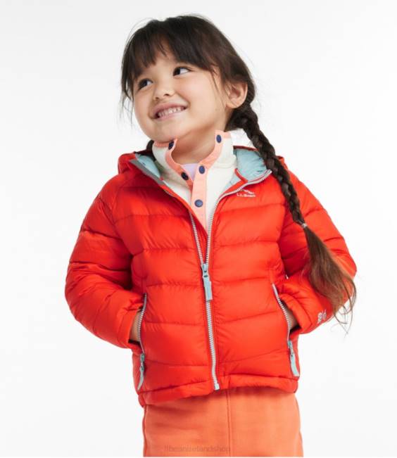 LLBean Infants\ and Toddlers\ Ultralight 650 Down Jacket Kids J46J6683 Outerwear Violet Chalk