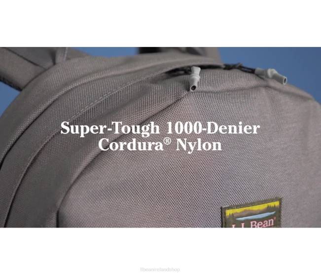 LLBean Mountain Classic Cordura Pack Unisex J46J2359 Accessories Stainless Steel/Blue Haze