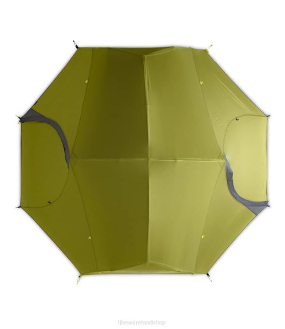 LLBean NEMO Dagger OSMO 2-Person Backpacking Tent Unisex J46J1486 Outdoor Equipment Birch Bud/Goodnight Gray