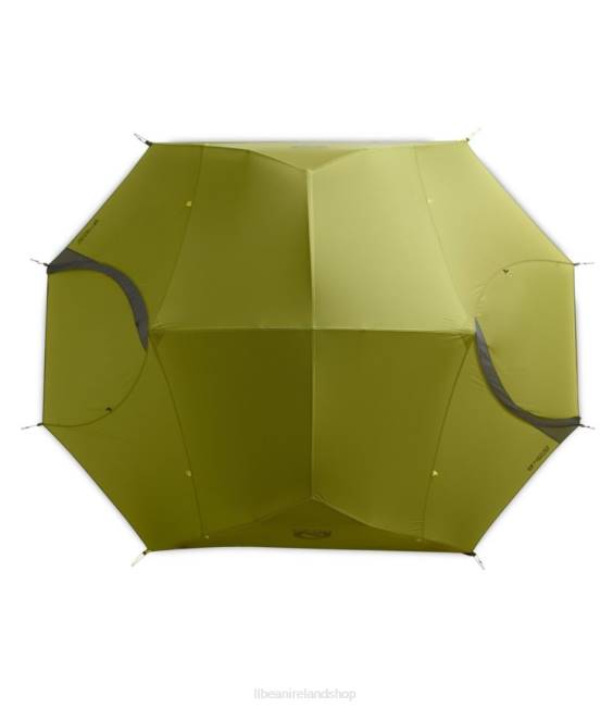 LLBean NEMO Dagger OSMO 3-Person Backpacking Tent Unisex J46J2172 Outdoor Equipment Birch Bud/Goodnight Gray