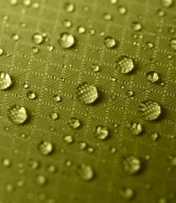 LLBean NEMO Hornet OSMO 2-Person Backpacking Tent Unisex J46J2297 Outdoor Equipment Birch Bud/Goodnight Gray