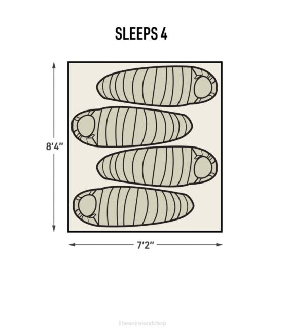 LLBean Northern Guide 4-Person Tent Unisex J46J1576 Outdoor Equipment Pine Forest