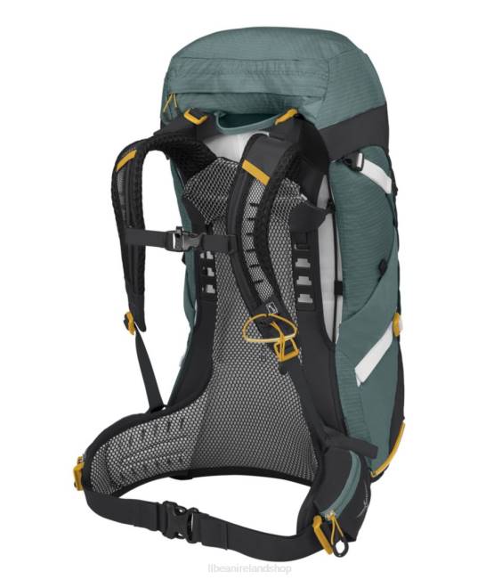 LLBean Osprey Sirrus 36 Liters Pack Unisex J46J2441 Outdoor Equipment Succulent Green