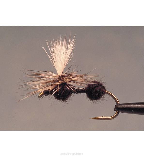 LLBean Parachute Ant Schroeders 2 Pack Unisex J46J2097 Fishing Black