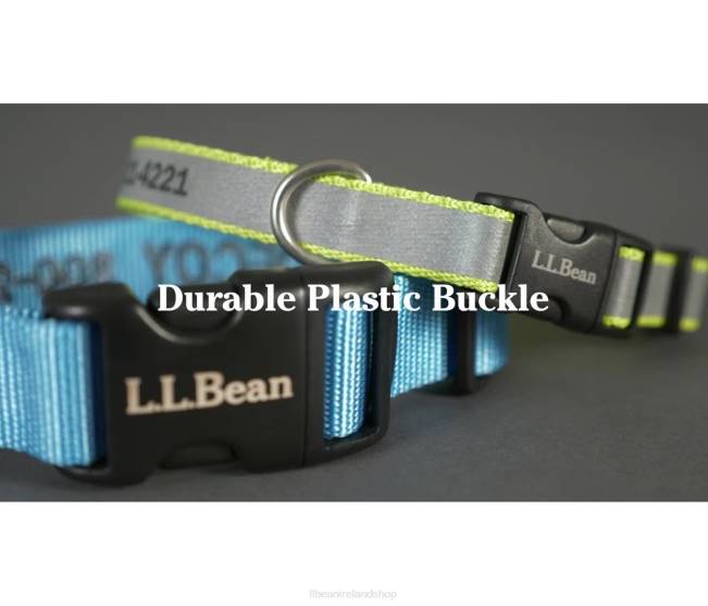 LLBean Personalized Pet Collar Reflective Unisex J46J1405 Home Goods Lime