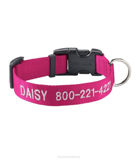 LLBean Personalized Pet Collar Unisex J46J5225 Home Goods Pink Flamingo