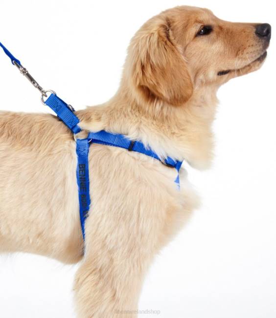 LLBean Personalized Pet Harness Unisex J46J5304 Home Goods Blue
