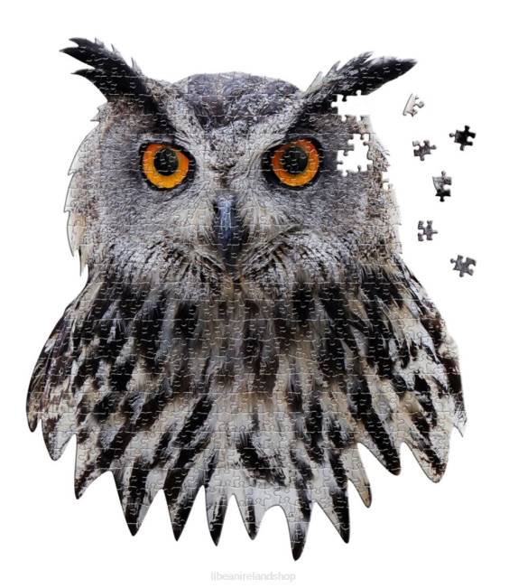 LLBean Poster Size Owl Puzzle Unisex J46J1962 Games  Recreation Multi