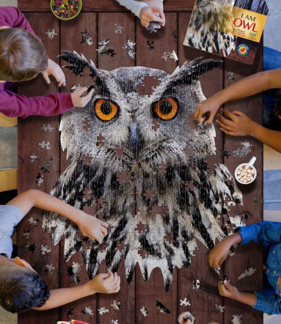 LLBean Poster Size Owl Puzzle Unisex J46J1962 Games  Recreation Multi