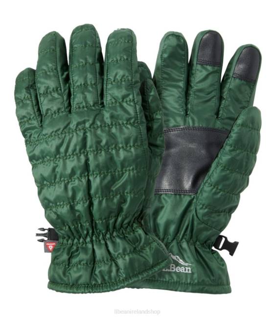 LLBean PrimaLoft Packaway Gloves Men J46J4980 Accessories Deep Balsam