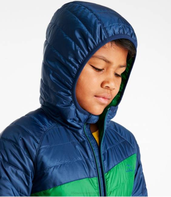 LLBean Primaloft Packaway Hooded Jacket Kids J46J5106 Outerwear Collegiate Blue/Lawn Green