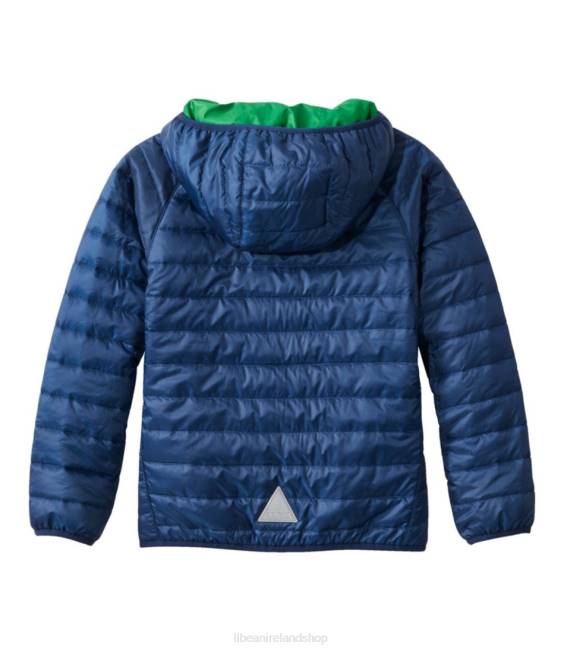 LLBean Primaloft Packaway Hooded Jacket Kids J46J5106 Outerwear Collegiate Blue/Lawn Green