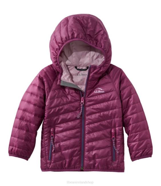LLBean Primaloft Packaway Hooded Jacket Kids J46J905 Outerwear Dark Mulberry