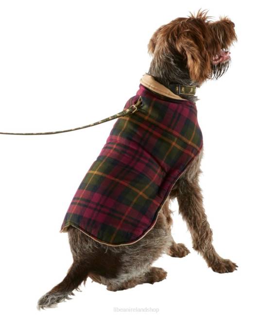 LLBean Reversible Field Coat for Dogs Unisex J46J1273 Home Goods Saddle