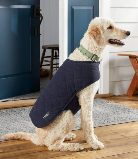 LLBean Reversible Quilted Dog Vest Unisex J46J2075 Home Goods Bright Navy/Dress Gordon