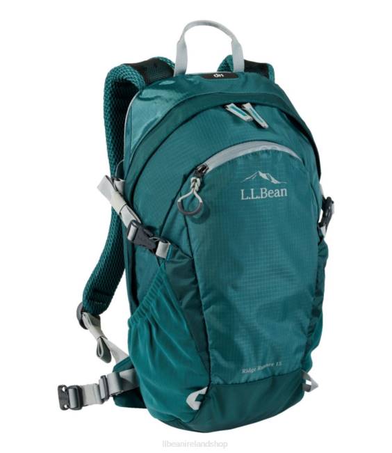 LLBean Ridge Runner Day Pack Unisex J46J3980 Outdoor Equipment Spruce Pine/Spruce