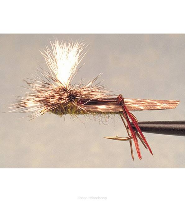 LLBean Schroeders Parachute Hopper Unisex J46J4119 Fishing Olive