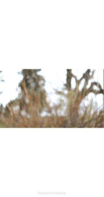 LLBean Signature Waxed-Canvas Maine Hunting Shoe Women J46J3836 Footwear Marsh Brown/Brown