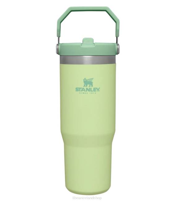 LLBean Stanley IceFlow Flip Straw Tumbler Unisex J46J2109 Outdoor Accessories Citron