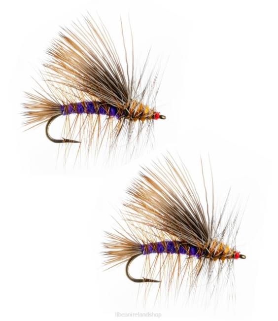 LLBean Stimulator Kaufmanns 2 Pack Unisex J46J2017 Fishing Royal