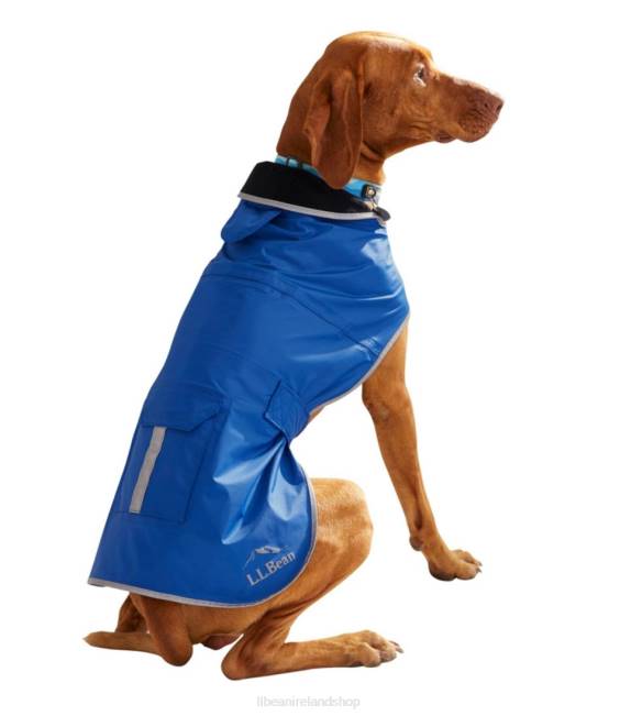 LLBean Trail Model Rain Jacket for Dogs Unisex J46J1950 Home Goods Deep Sapphire