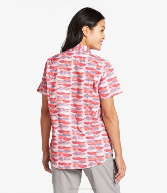 LLBean Tropicwear Shirt Women J46J363 Clothing Faded Rose Fish Print