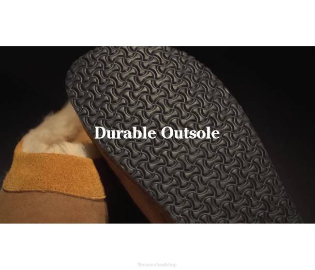 LLBean Wicked Good Clogs Women J46J1001 Footwear Brown