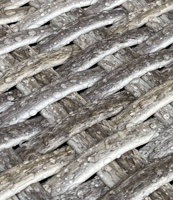 LLBean Wicker Storage Sofa and Teak Coffee Table Set Unisex J46J2871 Backyard  Patio Sand