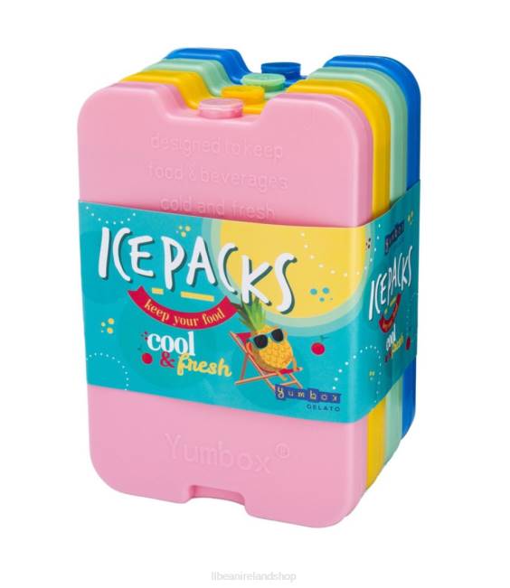 LLBean Yumbox Ice Pack Set of 4 Unisex J46J2345 Accessories Multi