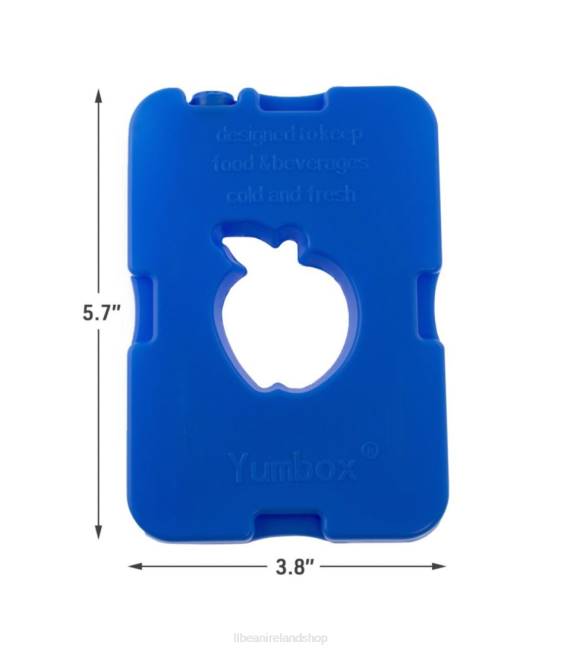 LLBean Yumbox Ice Pack Set of 4 Unisex J46J2345 Accessories Multi