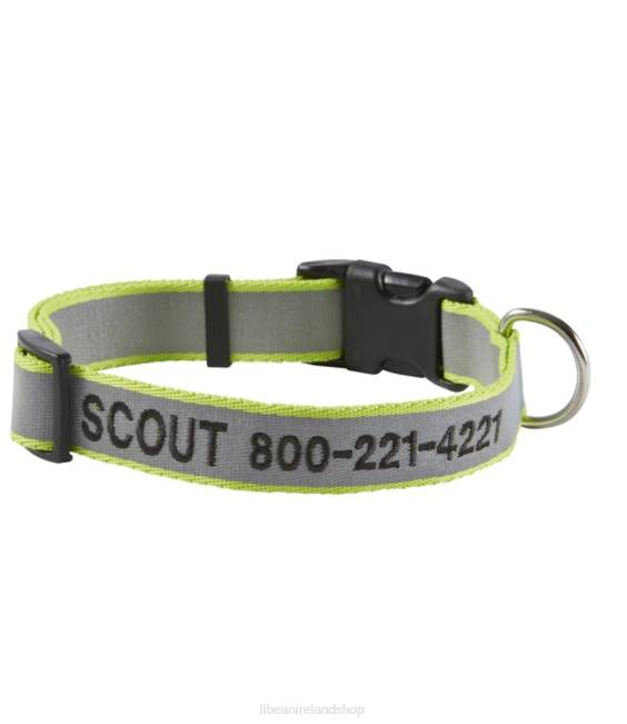 L.L.Bean Personalized Pet Collar Reflective Unisex J46J1405 Home Goods Lime
