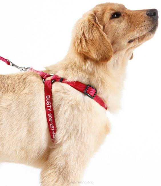 L.L.Bean Personalized Pet Harness Unisex J46J1591 Home Goods Red