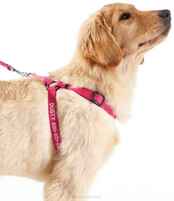 L.L.Bean Personalized Pet Harness Unisex J46J4005 Home Goods Pink Flamingo